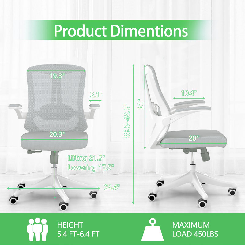 Inbox Zero Norberta Home Ergonomic Office Chair With Lumbar